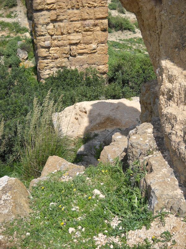 Carthage - Ain Jouggar DSCN0007.JPG